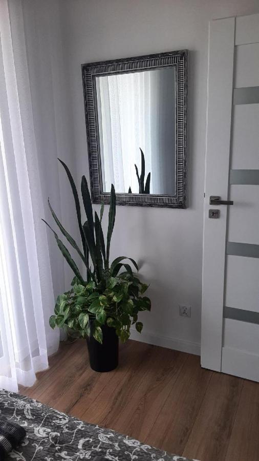 Apartament Z Widokiem Łańcut Екстериор снимка